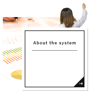 About the system